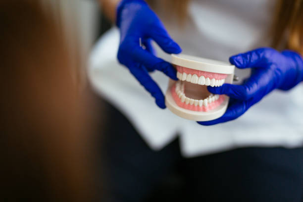  Hunters Creek, FL Holistic Dental Services Pros